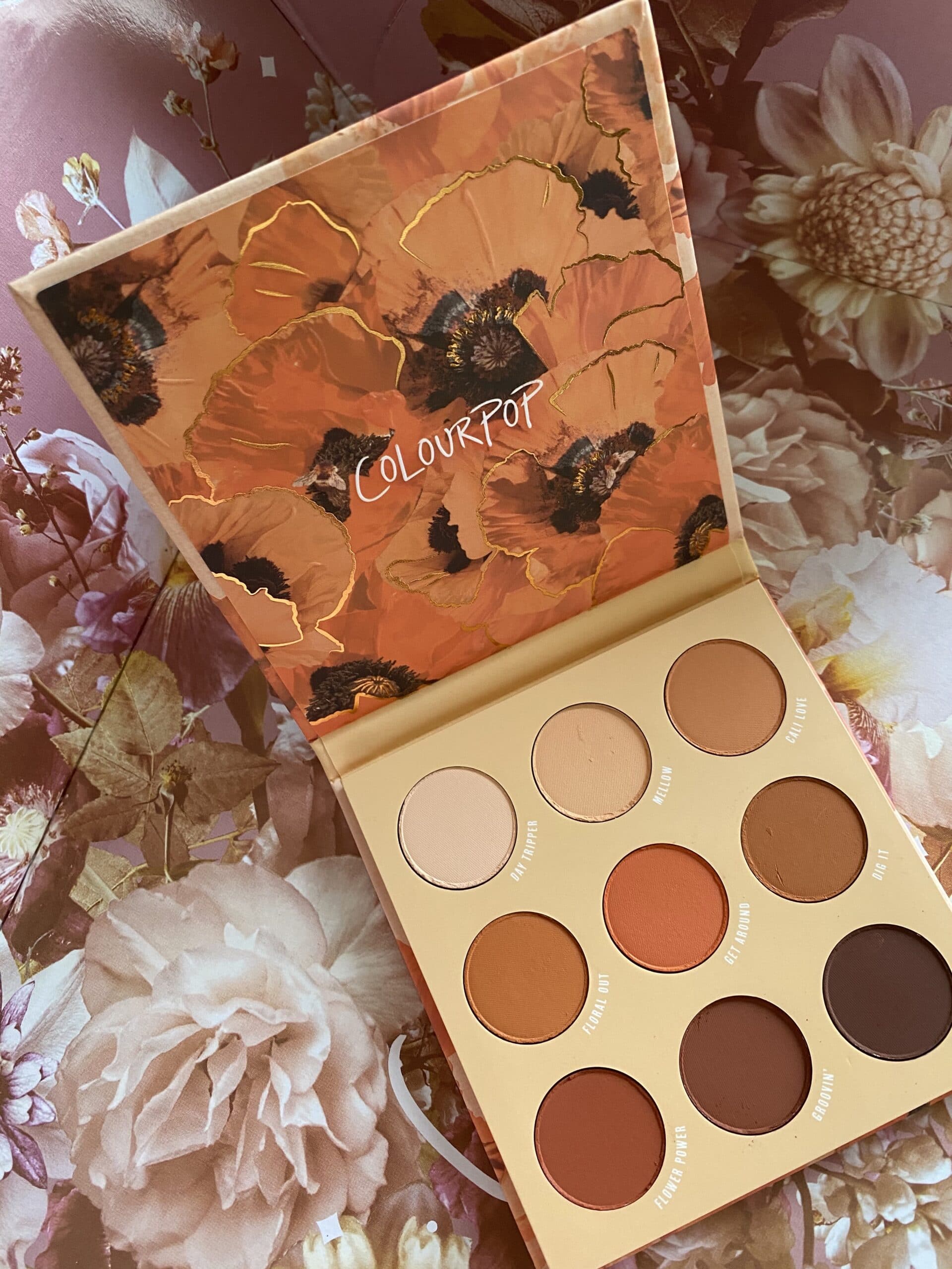 Colourpop Big Poppy Eyeshadow Palette Review