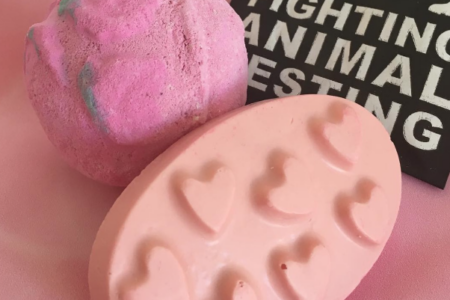 Vegan Valentine's Gift