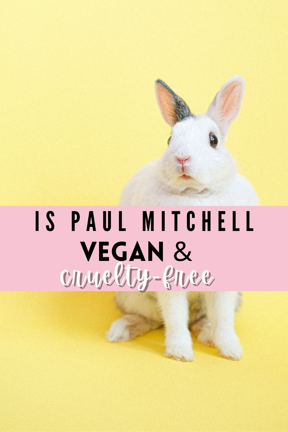 paul mitchell vegan