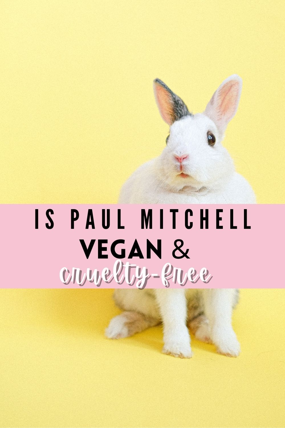 Paul Mitchell Vegan Product List (Cruelty-Free)