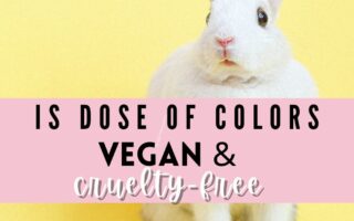 dose of colors vegan
