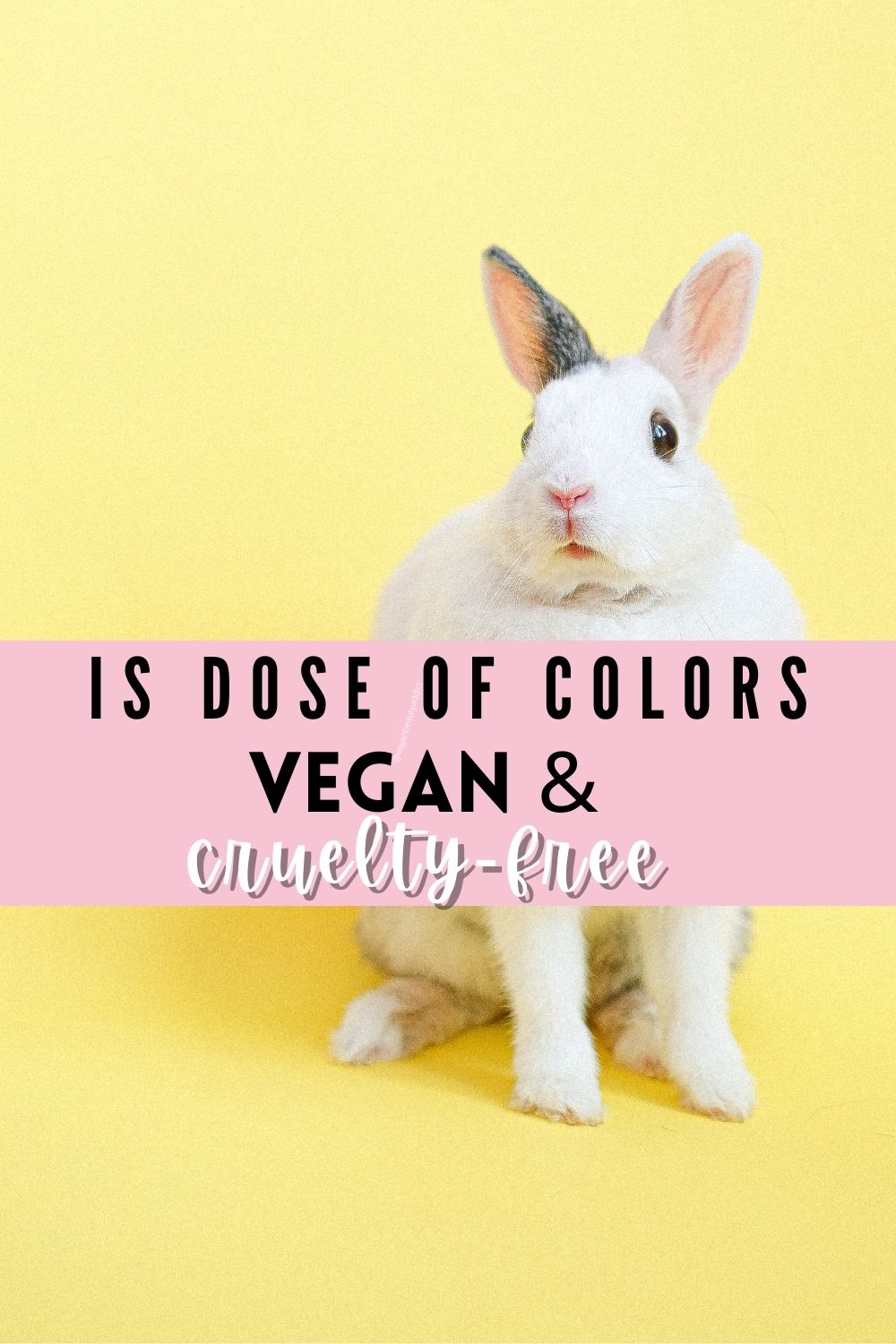 dose of colors vegan