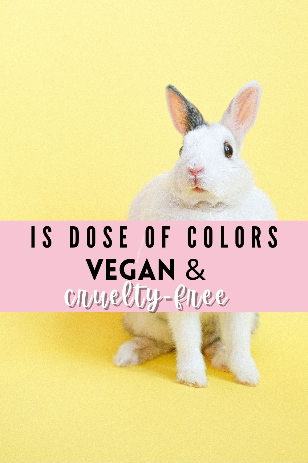 dose of colors vegan