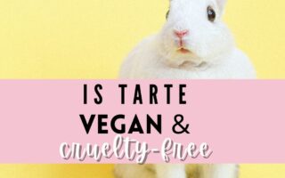 tarte vegan