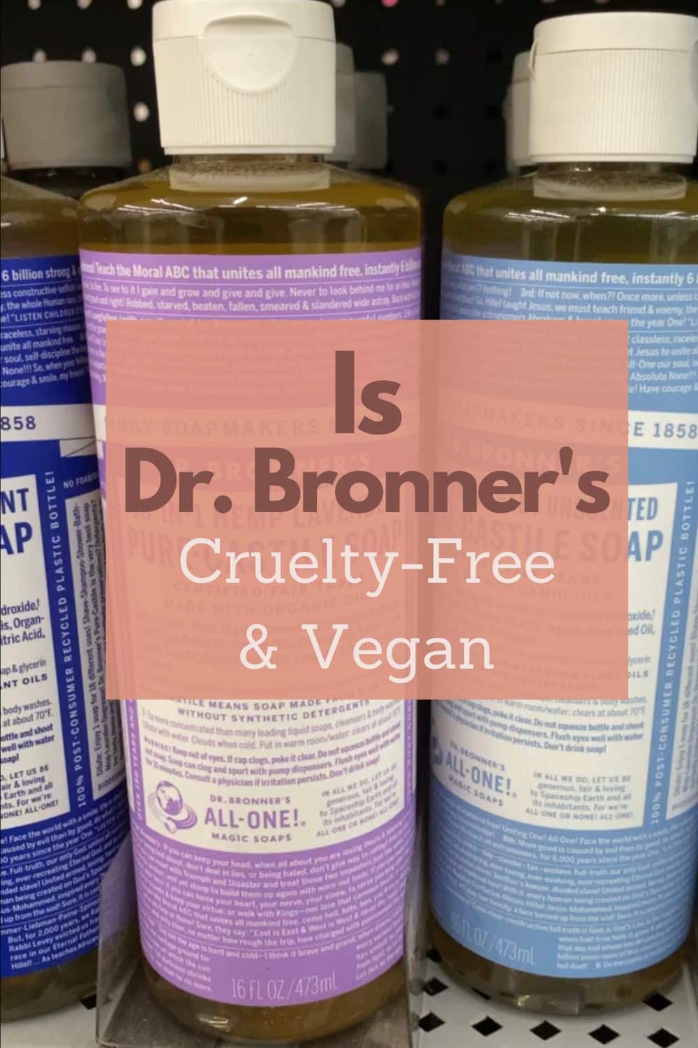 Dr. Bronner’s Vegan Product List (Cruelty-Free)