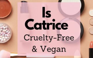catrice vegan